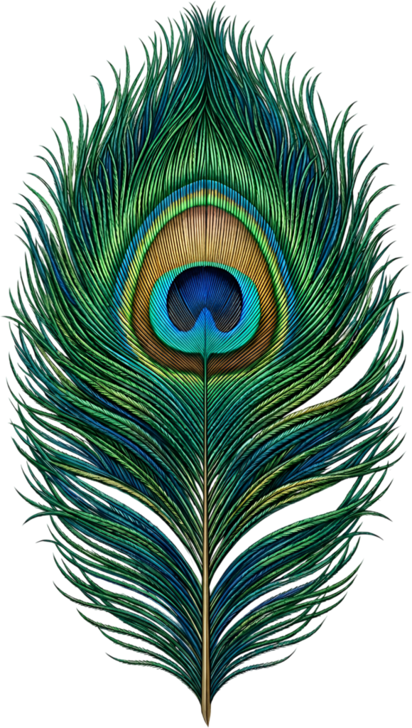 - Lush Symmetrical Peacock Feather, a vibrant classic Clipart PNG Illustration for elegant aesthetic projects Free PNG Download