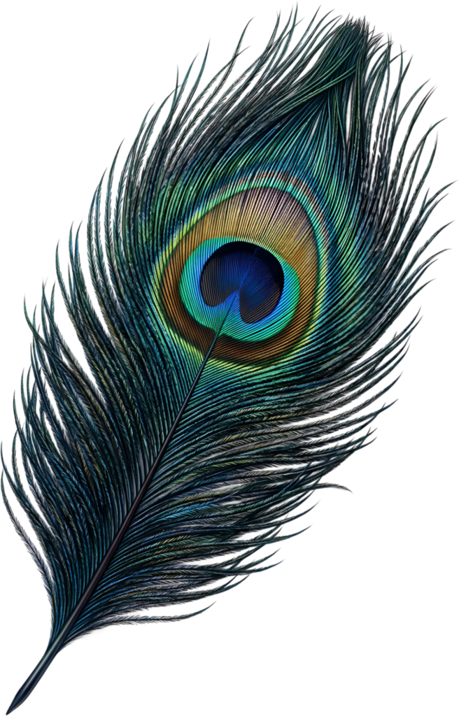 Richly Toned Peacock Feather, a detailed elegant Clipart PNG Illustration for sophisticated artistic ventures 1 - Richly Toned Peacock Feather, a detailed elegant Clipart PNG Illustration for sophisticated artistic ventures Free PNG Download