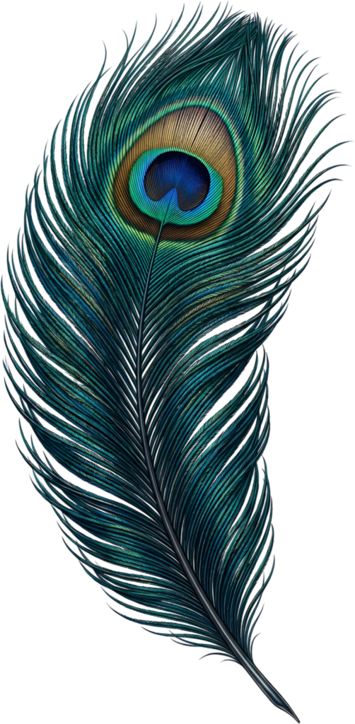 Dynamic Vibrance Peacock Feather, a richly hued Clipart PNG Illustration for captivating fashion statements 1 - Dynamic Vibrance Peacock Feather, a richly hued Clipart PNG Illustration for captivating fashion statements Free PNG Download