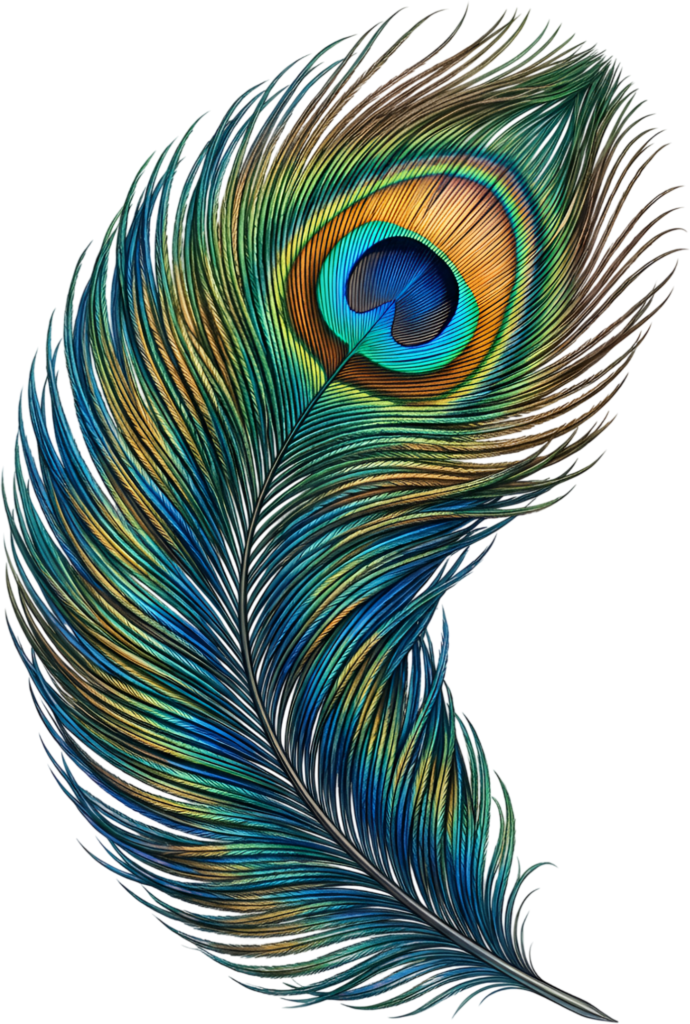 Warm Toned Peacock Feather with orange eye, a graceful Clipart PNG Illustration for inviting decor 1 - Warm Toned Peacock Feather with orange eye, a graceful Clipart PNG Illustration for inviting decor Free PNG Download