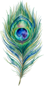 Soft Watercolor Peacock Feather, a beautiful artistic Clipart PNG Illustration for delicate paper crafts