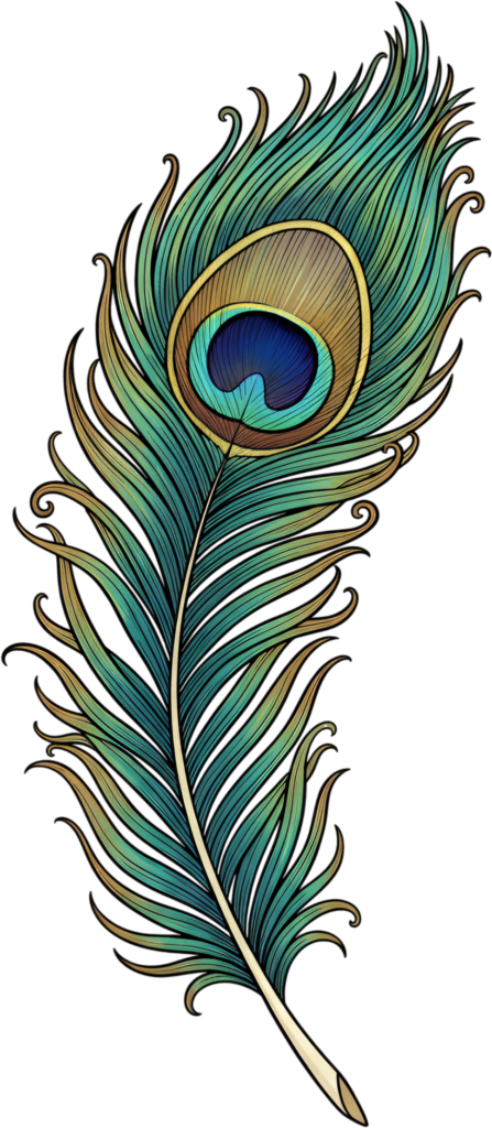 Bold Outlined Peacock Feather, an elegant line art Clipart PNG Illustration for striking graphic statements 1 - Bold Outlined Peacock Feather, an elegant line art Clipart PNG Illustration for striking graphic statements Free PNG Download