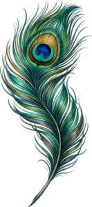 Textured Flowing Peacock Feather, a rich elegant Clipart PNG Illustration for sophisticated visual projects