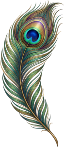 Ornate Patterned Peacock Feather, a luxurious golden Clipart PNG Illustration for regal decorative endeavors