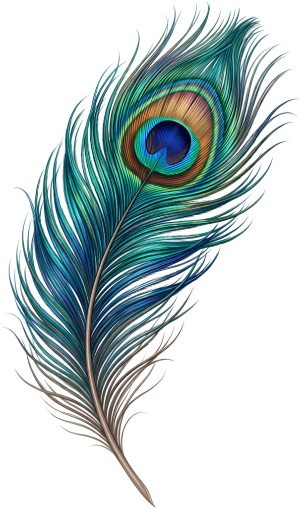 Naturalistic Blue-Green Peacock Feather, a beautifully rendered Clipart PNG Illustration for serene nature scenes 1 - Naturalistic Blue-Green Peacock Feather, a beautifully rendered Clipart PNG Illustration for serene nature scenes Free PNG Download