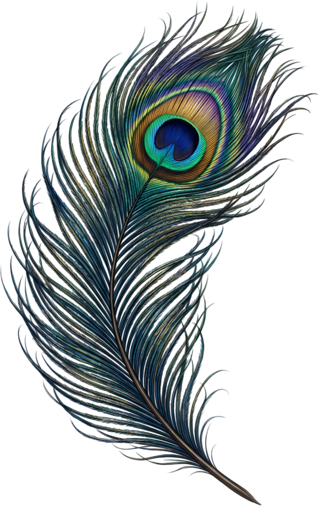 Deep Hued Peacock Feather, a classic vibrant Clipart PNG Illustration for elegant traditional projects 1 - Deep Hued Peacock Feather, a classic vibrant Clipart PNG Illustration for elegant traditional projects Free PNG Download