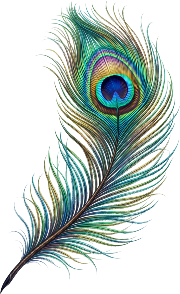 Bright Iridescent Peacock Feather, a stunning detailed Clipart PNG Illustration for captivating visual displays 1 - Bright Iridescent Peacock Feather, a stunning detailed Clipart PNG Illustration for captivating visual displays Free PNG Download