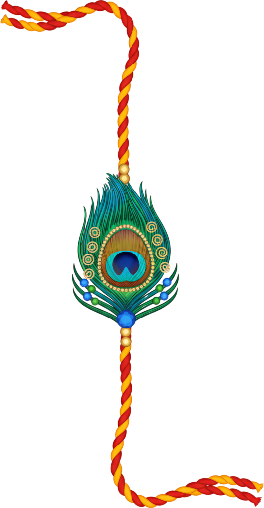 - Adorn your festive projects with this graceful peacock feather Rakhi PNG illustration for Raksha Bandhan greetings Free PNG Download