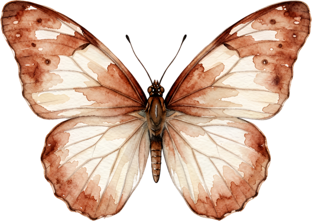 Discover the beauty of this rustic brown Butterfly, a charming earthy tone Watercolor texture PNG Illustration for farmhouse decor