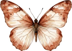 - Striking Monarch Butterfly in dorsal view, a premium PNG for diverse clipart applications, educational content, and artistic compositions Free PNG Download