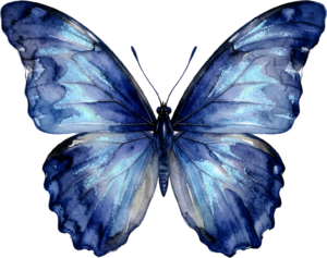 - Deep Blue Butterfly in flight profile, a captivating PNG for ethereal clipart, fantasy designs, and enchanting digital compositions Free PNG Download