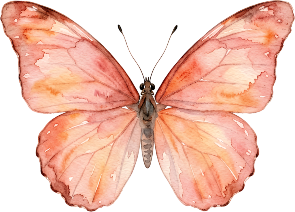 Access this charming peach orange Butterfly, a subtle Watercolor wash PNG Illustration perfect for soft, inviting aesthetics