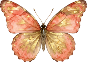 - Striking Monarch Butterfly in dorsal view, a premium PNG for diverse clipart applications, educational content, and artistic compositions Free PNG Download