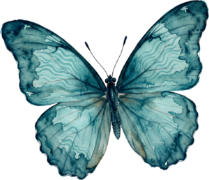 - Striking Monarch Butterfly in dorsal view, a premium PNG for diverse clipart applications, educational content, and artistic compositions Free PNG Download