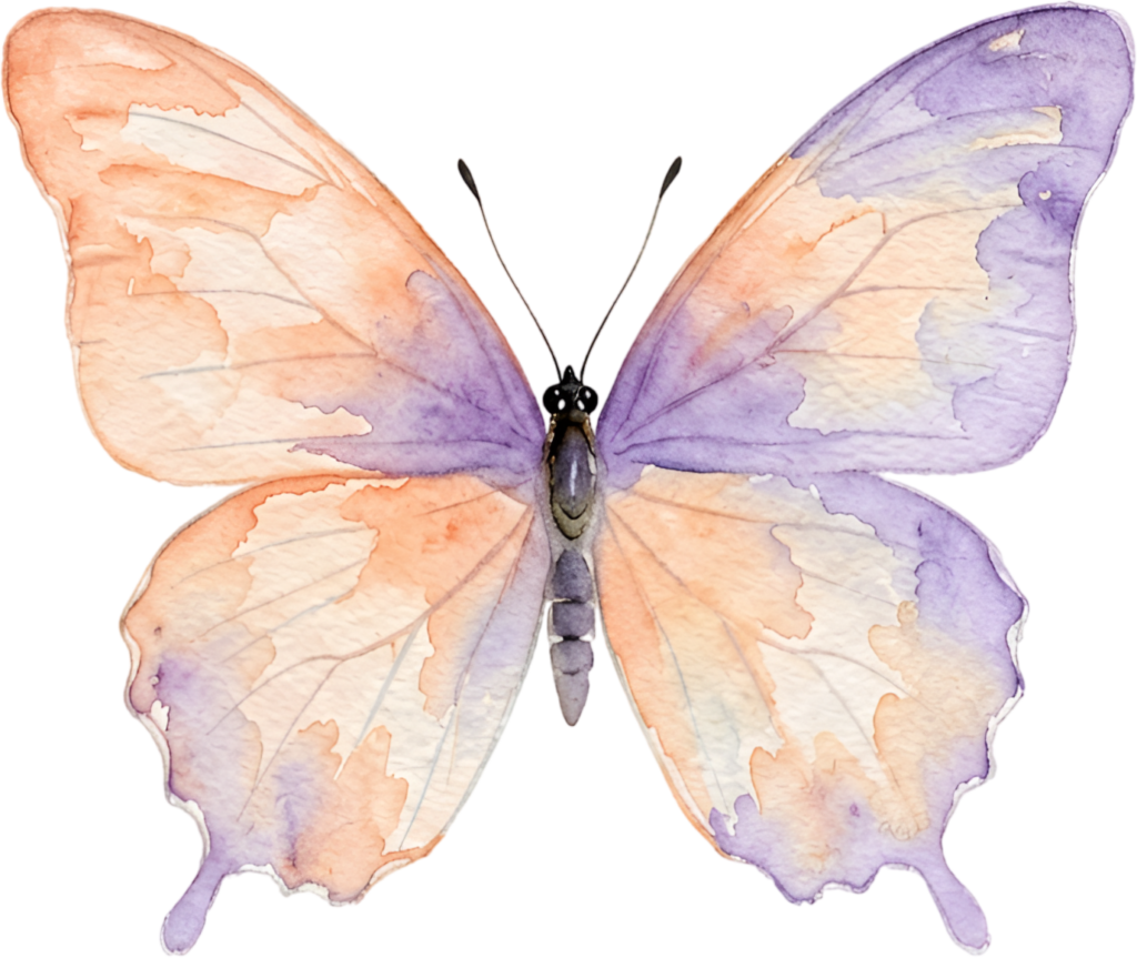 Elevate artistic endeavors with this soft orange and purple Butterfly, a graceful gradient Watercolor blend PNG Illustration for gentle projects