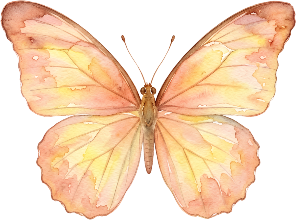 Capture warmth with this sunny orange and yellow Butterfly, a cheerful Watercolor wash PNG Illustration for happy, inviting themes