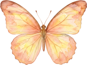 - Striking Monarch Butterfly in dorsal view, a premium PNG for diverse clipart applications, educational content, and artistic compositions Free PNG Download