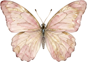 - Striking Monarch Butterfly in dorsal view, a premium PNG for diverse clipart applications, educational content, and artistic compositions Free PNG Download