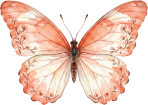 - Striking Monarch Butterfly in dorsal view, a premium PNG for diverse clipart applications, educational content, and artistic compositions Free PNG Download
