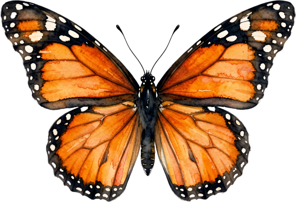 Display this iconic Monarch Butterfly, a classic orange and black Watercolor design PNG Illustration for nature-inspired art