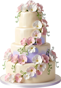 Artistic Brushstroke Wedding Cake in semi-naked style with peach florals and eucalyptus PNG Clipart 50 - Artistic Brushstroke Wedding Cake in semi-naked style with peach florals and eucalyptus PNG Clipart Free PNG Download