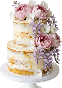 Artistic Brushstroke Wedding Cake in semi-naked style with peach florals and eucalyptus PNG Clipart 12 - Artistic Brushstroke Wedding Cake in semi-naked style with peach florals and eucalyptus PNG Clipart Free PNG Download
