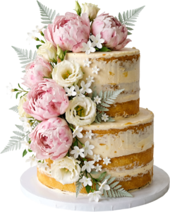 Artistic Brushstroke Wedding Cake in semi-naked style with peach florals and eucalyptus PNG Clipart 11 - Artistic Brushstroke Wedding Cake in semi-naked style with peach florals and eucalyptus PNG Clipart Free PNG Download
