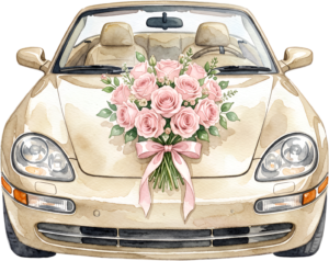 Classic "Just Married" wedding car couple PNG, charming bridal clipart for festive announcements. 27 - Classic "Just Married" wedding car couple PNG, charming bridal clipart for festive announcements. Free PNG Download