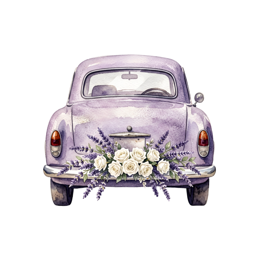 Artistic wedding car illustration, rear view purple vintage car with white roses and lavender, charming PNG