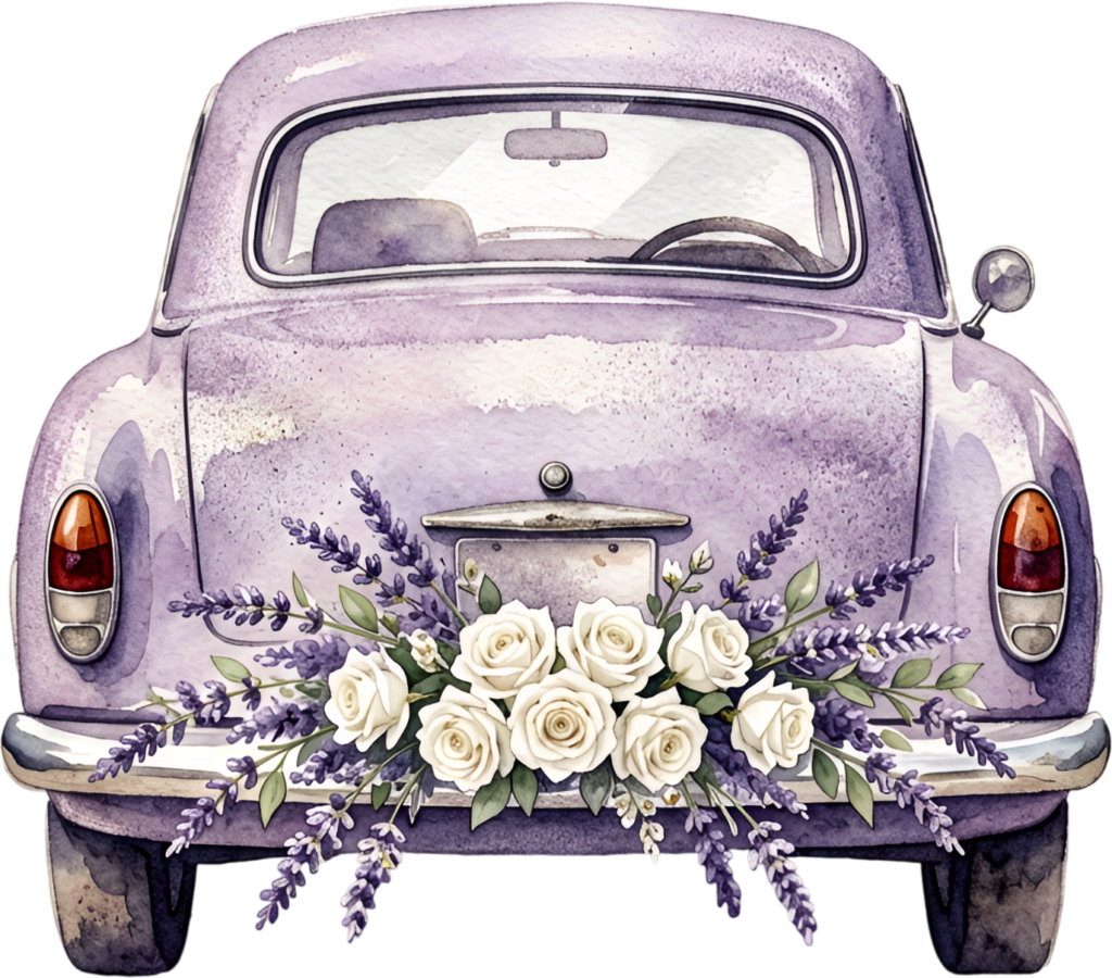 Artistic wedding car illustration, rear view purple vintage car with white roses and lavender, charming PNG