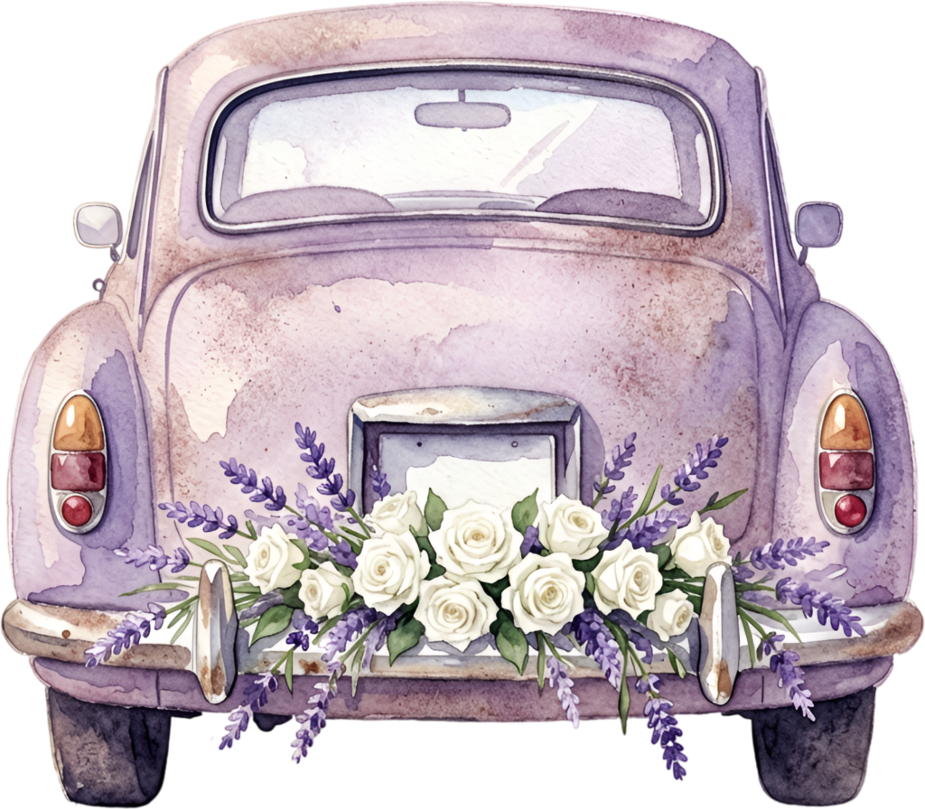 Watercolor wedding car clipart, rear view purple vintage car with elegant white roses and lavender, serene PNG