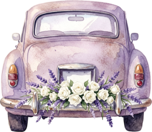 Classic "Just Married" wedding car couple PNG, charming bridal clipart for festive announcements. 37 - Classic "Just Married" wedding car couple PNG, charming bridal clipart for festive announcements. Free PNG Download